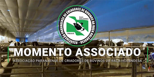 Associado do mês APCBRH | Destaque com Vacas Recordistas Nacionais homologadas pela ABCBRH